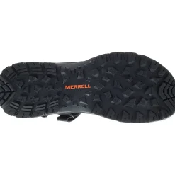 Homme Cedrus Convertible 3 - Voir Tout