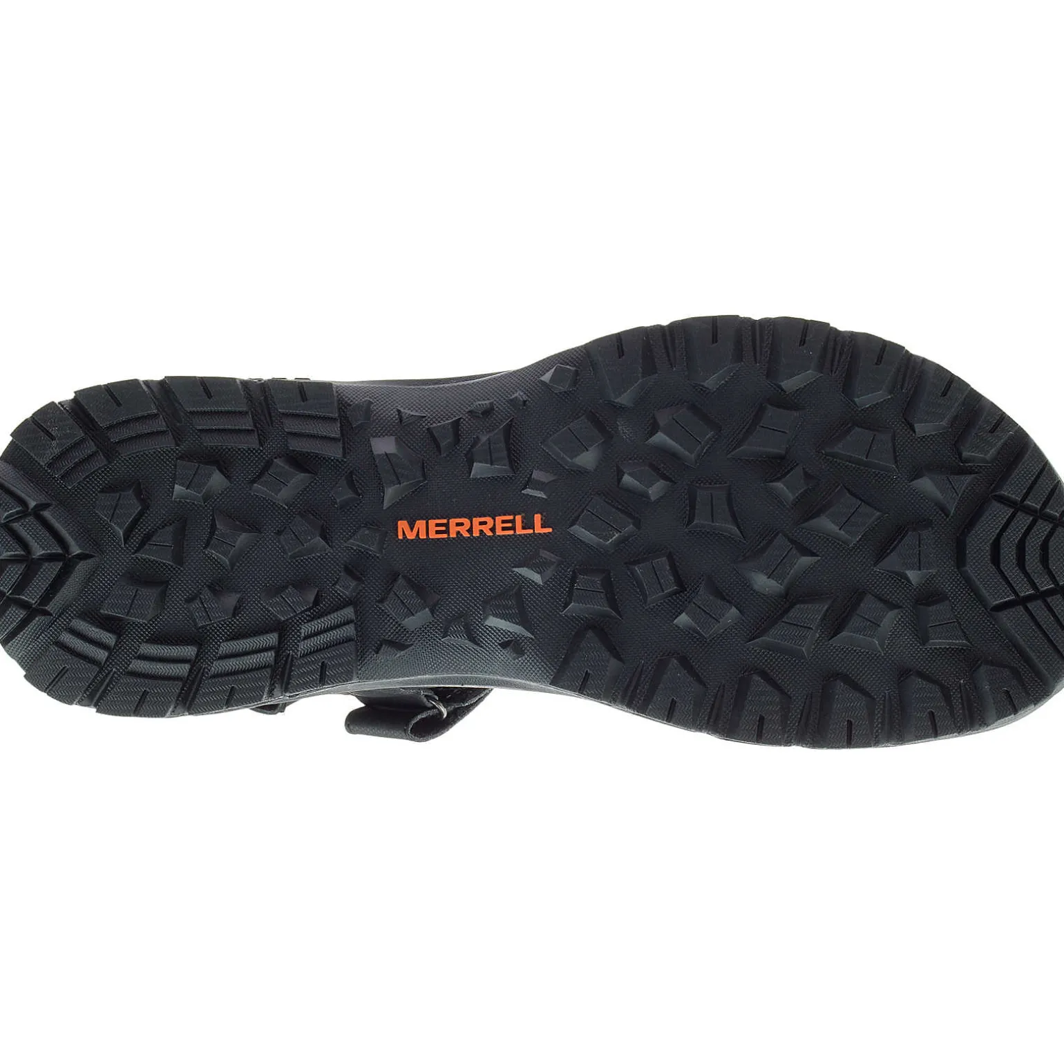 Homme Cedrus Convertible 3 - Voir Tout